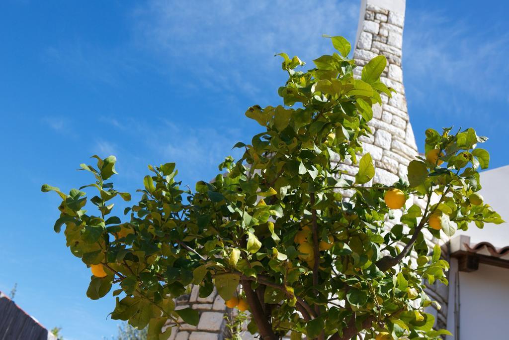 B&B La Pomelia Agrigento Dış mekan fotoğraf